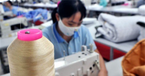 Năm 2020 phải xử lý dứt điểm doanh nghiệp làm thất thoát vốn Nhà nước