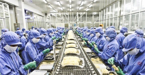 Ngành tôm sẽ khởi sắc trở lại