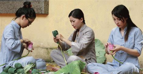 Người Hà Nội hái sen ủ trà - nét đẹp văn hóa cần được lưu giữ