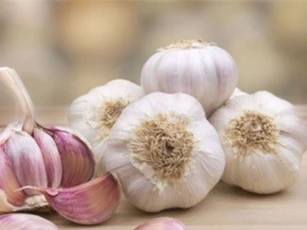 Những lợi ích sức khỏe bất ngờ từ tỏi