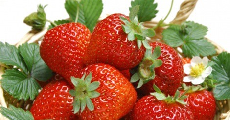 Thực đơn cho mùa Hè đủ nước