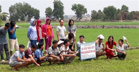 9X trồng rau muống VietGAP lãi 20 triệu đồng/tháng