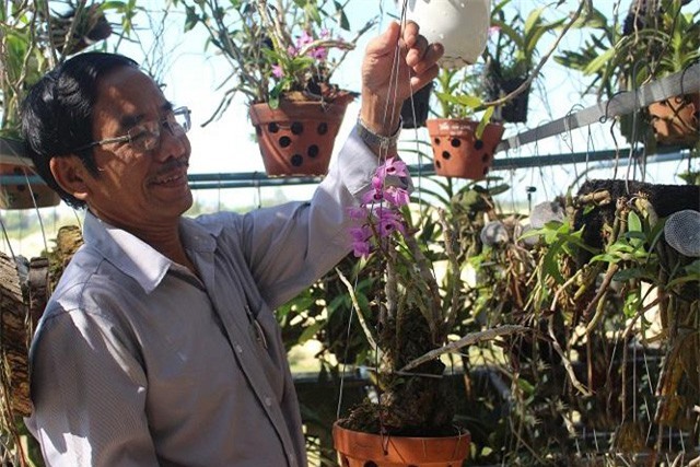 "Đột nhập" vườn lan tiền tỷ của thầy giáo dạy Văn ở Quảng Ngãi