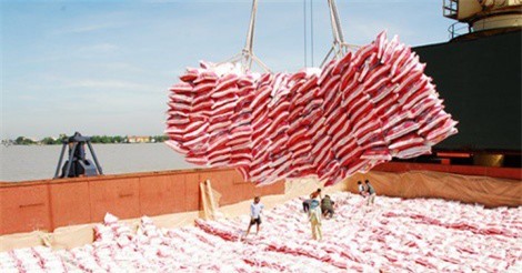 "Nóng" giá gạo xuất khẩu, doanh nghiệp gặp khó