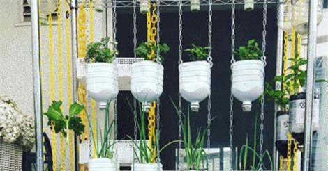 Chỉ 400.000 đồng, mẹ Việt có vườn rau gia vị đẹp hết nấc