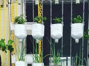 Chỉ 400.000 đồng, mẹ Việt có vườn rau gia vị đẹp hết nấc