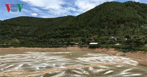 Dự án khu du lịch thành trại nuôi gia súc, dân khốn khổ vì ô nhiễm