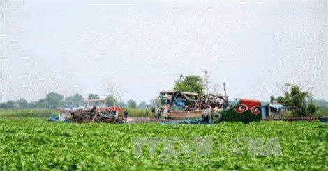 Khai thác cát trái phép gây sạt lở ven sông Vàm Cỏ Đông