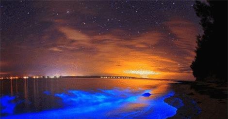 Những bãi biển "dị" nhất thế giới bất cứ ai cũng muốn đến một lần trong đời