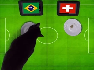 ‘Tiên tri” mèo đen dự đoán trận Brazil và Thụy Sĩ