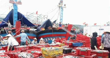 Trúng đậm cá đốm, đi biển có 2 ngày mà thu 300 triệu