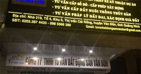 Bất động sản Vân Đồn: Không có giao dịch nào được thực hiện suốt tuần qua