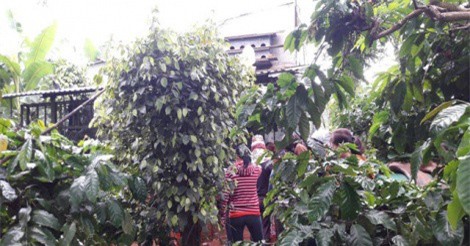 Thầy giáo tử vong cạnh một phụ nữ chết trong tư thế treo cổ