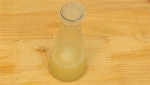 Tự làm nước tẩy trang từ lá trà xanh