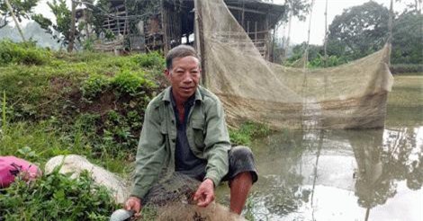 Làm giàu ở nông thôn: Nuôi rô phi toàn "đực rựa", thu 200 triệu/năm