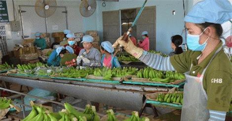 Mỹ - Trung ăn miếng trả miếng: Hàng Việt bị vạ lây