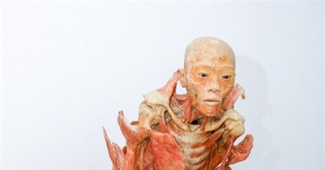 Triển lãm 131 mẫu vật cơ thể người thật tại Tp.HCM