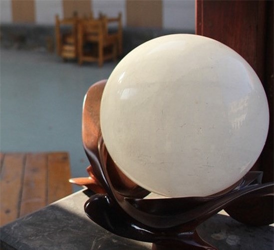 "Choáng váng" với bộ sưu tập đá tiền tỷ của đại gia Đồng Nai