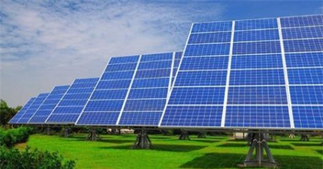 Doanh nghiệp cá tầm đầu tư 1.200 tỷ đồng vào điện mặt trời