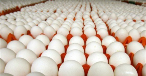 Giá trứng tăng cao