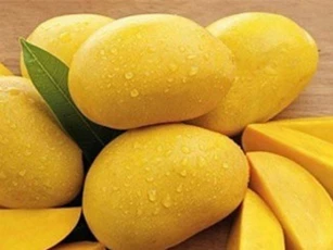 Lợi ích bất ngờ từ quả xoài