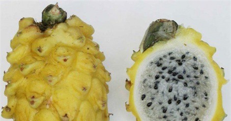 Những trái cây lạ xuất hiện trên thị trường Việt