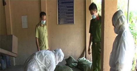 Quảng Ninh: Tiêu hủy 1 tấn lợn nhập lậu