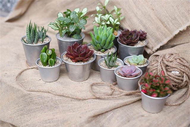 4 vật đại kỵ phong thủy tuyệt đối không để trong nhà