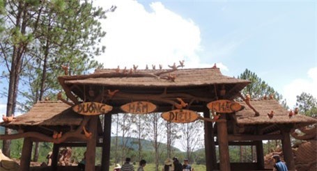 Bé gái bị cây đè tử vong trong khu du lịch Đà Lạt