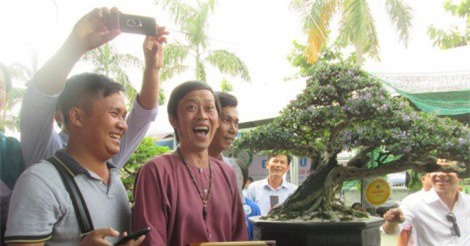 Cây Linh sam 500 triệu của danh hài Hoài Linh đạt giải nhất cuộc thi bonsai