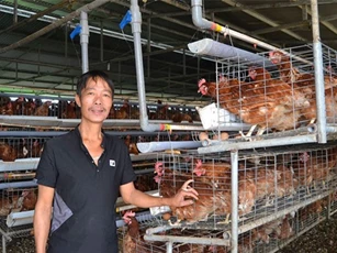 Lạ mà hay: Nuôi heo, gà tự động, chỉ bán phân đã có 30 triệu/tháng