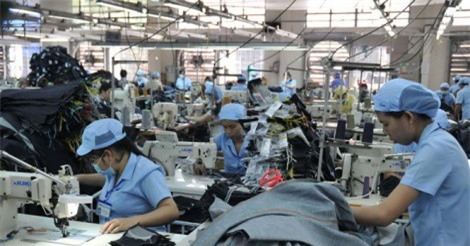 May Đức Giang mở rộng thị trường trong nước