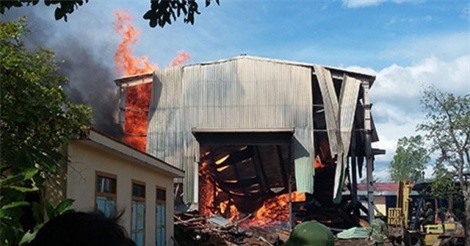 200 m3 gỗ quý bị thiêu rụi sau đám cháy