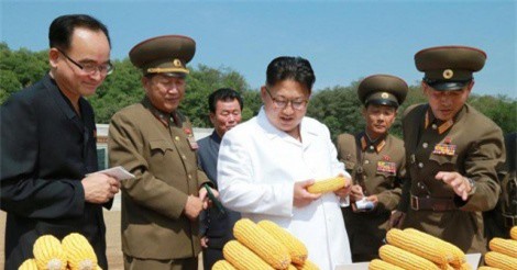 Mô hình kinh tế lý tưởng nào cho Triều Tiên dưới thời ông Kim Jong-un?