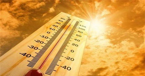 Những dấu hiệu cho thấy cơ thể sắp bị đột quỵ do nhiệt