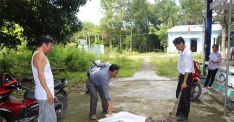 Phát hiện kỳ đà hoa "đi lạc" vào trụ sở UBND huyện