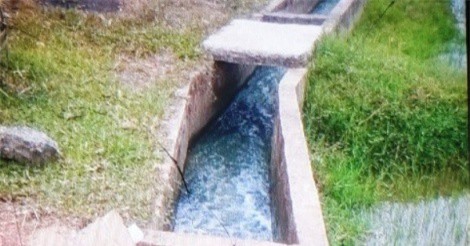 Bàng hoàng phát hiện thi thể người đàn ông dưới mương nước