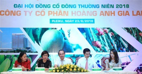 Bầu Đức bị cổ đông phàn nàn vì giá cổ phiếu quá thấp