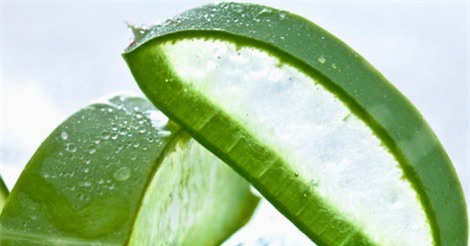 2 cách dùng gel lô hội để trị sạch mụn