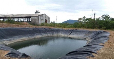 Bé trai 8 tuổi đuối nước tại trang trại của chủ tịch xã