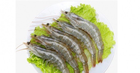 Mẹo chọn tôm tươi ngon cho bữa ăn gia đình