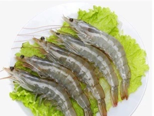 Mẹo chọn tôm tươi ngon cho bữa ăn gia đình