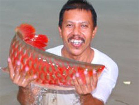 Huyền thoại cá huyết rồng vẩy đỏ như máu: Cuộc săn lùng của đại gia