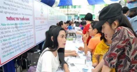 Sàn việc làm TP.HCM tuyển dụng hơn 1.500 người