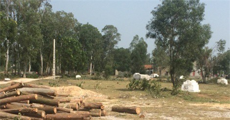 Bộ Công Thương chính thức đề xuất giao Dự án Nhiệt điện cho Geleximco