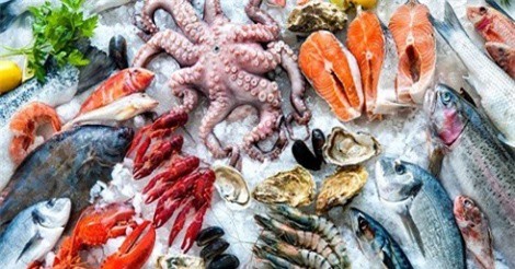 EC kéo dài thời gian phạt “thẻ vàng” thủy sản Việt Nam thêm 6 tháng