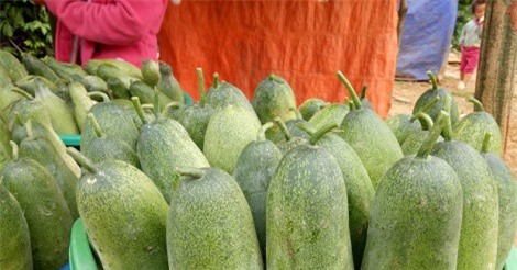 Lên Tây Bắc thưởng thức đặc sản "độc quyền" của người Mông