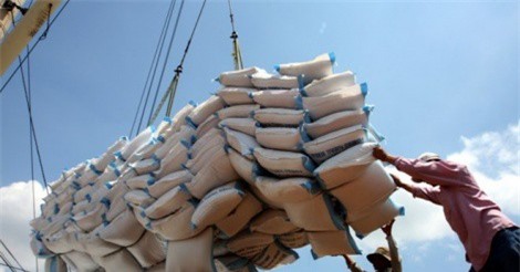 6 tháng đầu năm 2018, xuất khẩu nông sản tăng 12% so với cùng kỳ 2017