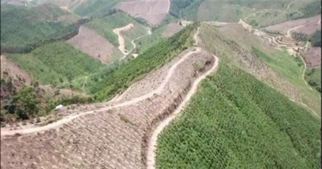 Kiểm lâm "ngỡ ngàng" khi rừng phòng hộ bị phá tan hoang