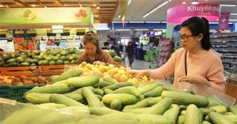 TP HCM: Truy xuất nguồn gốc rau củ